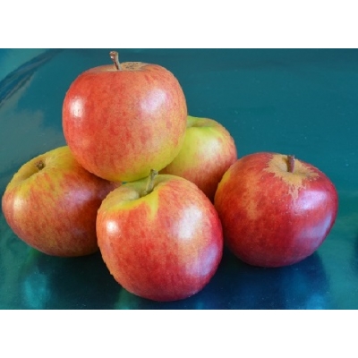 Appels Milwa Junami. Lekkere zoetzure stevige sappige appel. Prijs per 500 Gram