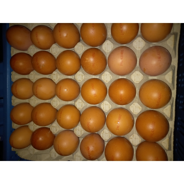 Eieren, Prijs per 30