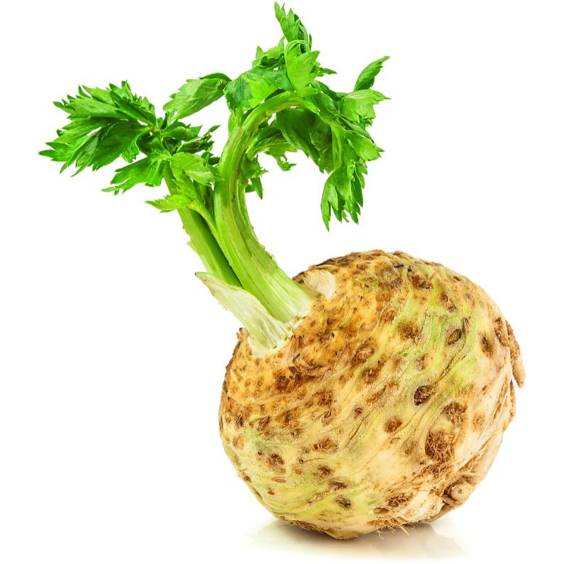 Knolselderij. Prijs per STUK