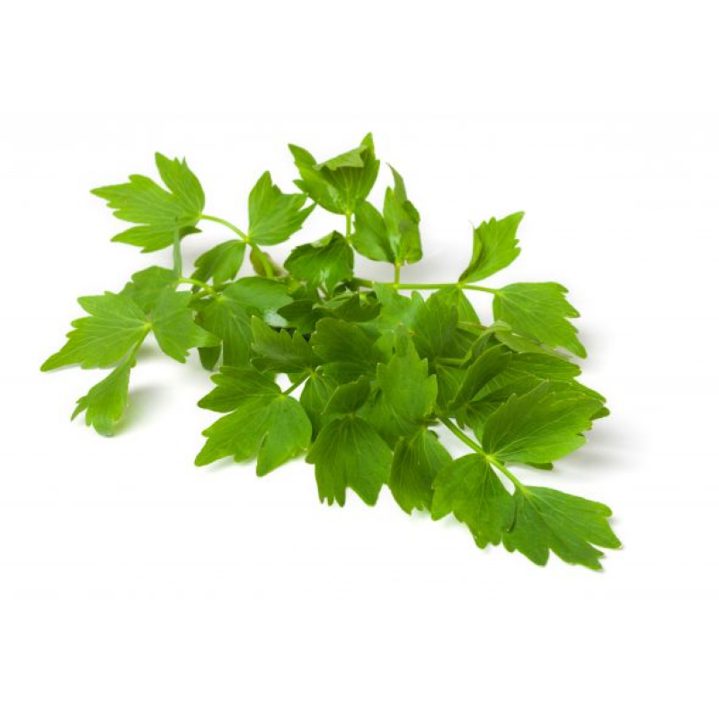 Lavas/Maggi, Hoes 75 Gram. Niet standaard op voorraad maar kan wel besteld worden. Prijs is Dagprijs. Bel voor Bestellen en of Prijs