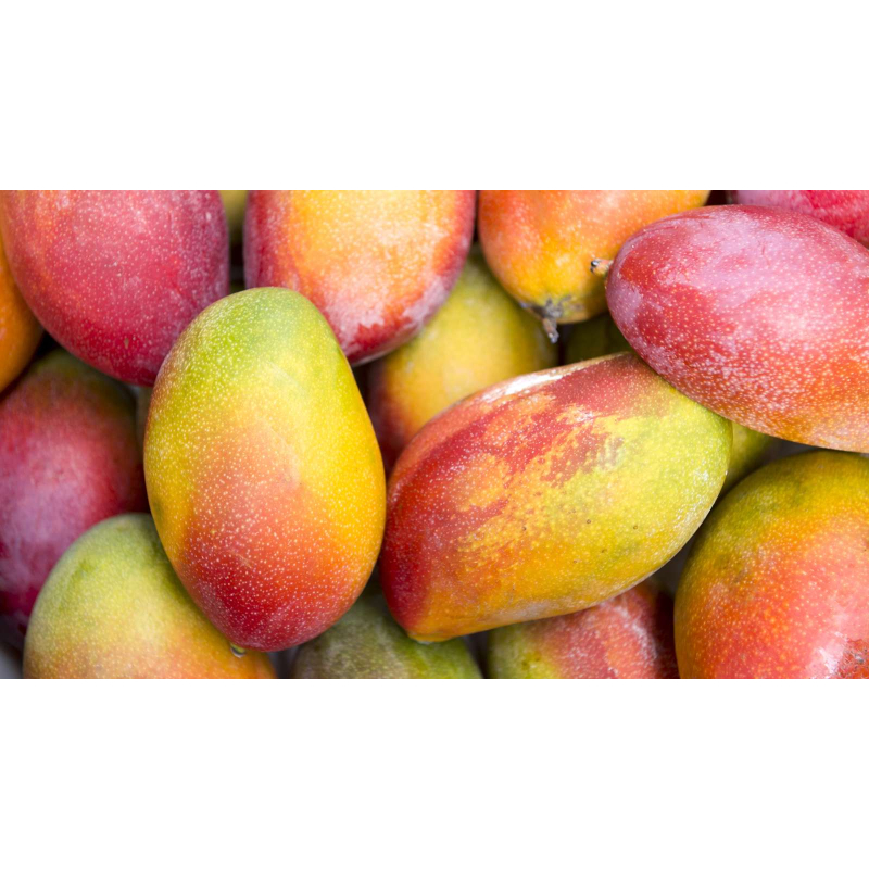 Mango, Prijs per Stuk