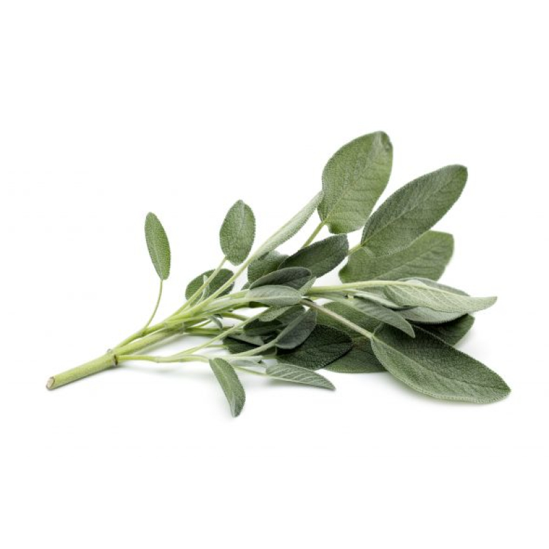 Salie, Hoes 75 Gram. Niet standaard op voorraad maar wel te bestellen. Prijs is Dagprijs. Bel voor Bestellen en of Prijs