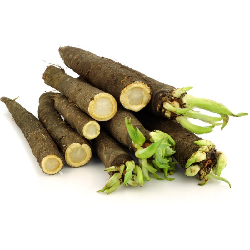 Schorseneren, per Kilo. Niet standaard op voorraad maar zijn wel te bestellen. Prijs is Dagprijs. Bel voor Bestellen en of Prijs