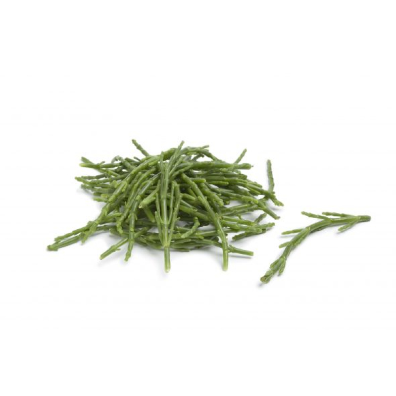 Zeekraal, bak 100 Gram. Niet standaard op voorraad maar kan wel besteld worden. Prijs is Dagprijs. Bel voor Bestellen en of Prijs