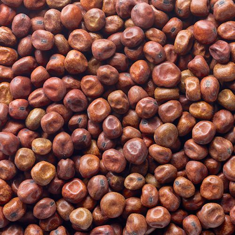 Kapucijners, droog. Zak 500 Gram