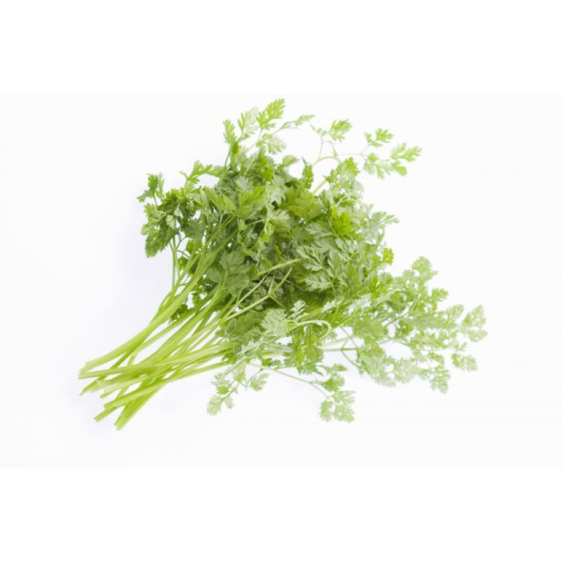 Kervel. Blister 20 Gram. Niet standaard op voorraad maar wel te bestellen. Prijs is Dagprijs. Bel voor Bestellen en of Prijs