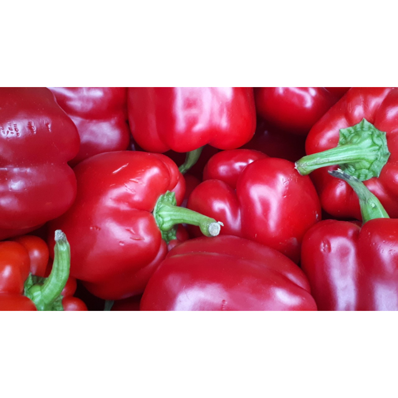 Paprika Rood. Prijs per 500 Gram