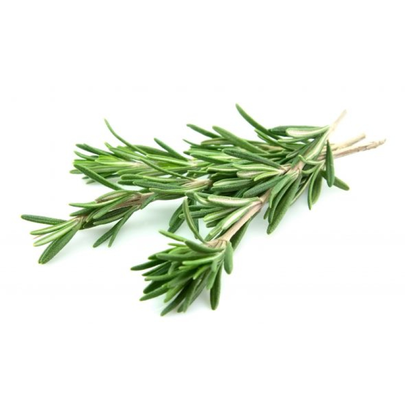 Rozemarijn, Hoes 75 Gram. Niet standaard op voorraad maar wel te bestellen. Prijs is Dagprijs. Bel voor Bestellen en of Prijs
