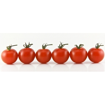 Tomaten per 500 Gram