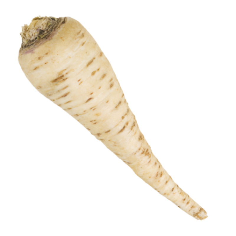 Wortel Peterselie. Per Kilo. Niet standaard op voorraad maar kan wel mee besteld worden. Prijs is Dagprijs. Bel voor Bestellen en of Prijs