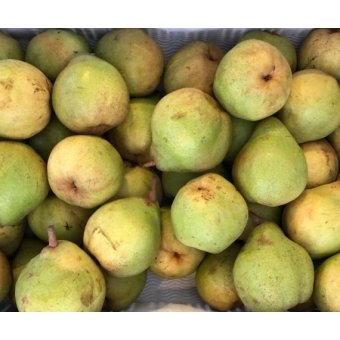 Peren Doyenne du Comice  