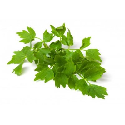 Lavas/Maggi, Hoes 75 Gram. Niet standaard op voorraad maar kan wel besteld worden. Prijs is Dagprijs. Bel voor Bestellen en of Prijs