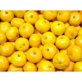 Mandarijnen, Satsuma Okitsu prijs per 500 Gram 