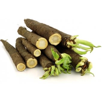 Schorseneren, per Kilo. Niet standaard op voorraad maar zijn wel te bestellen. Prijs is Dagprijs. Bel voor Bestellen en of Prijs