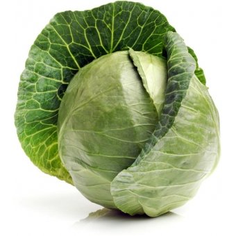 Witte Kool. Prijs per Kilo