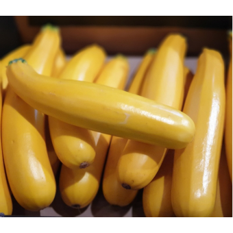 Courgette Geel
