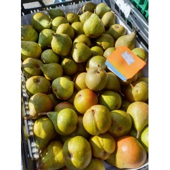 Gieser Wildeman Stoofperen. Prijs per KILO