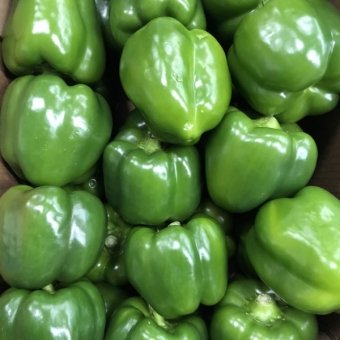 Paprika Groen.VERS van de KWEKER  Prijs Per 500 Gram