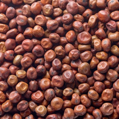 Kapucijners, droog. Zak 500 Gram