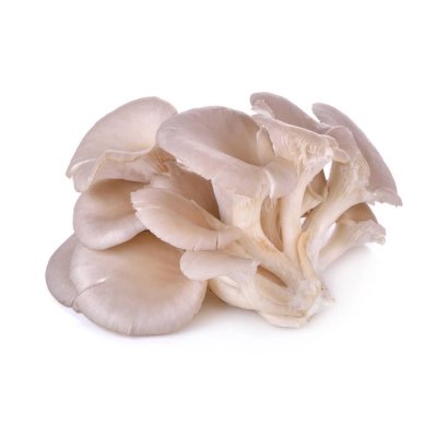 Oesterzwam, prijs per 200 Gram