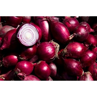 Rode Uien. Prijs per 2½ Kilo