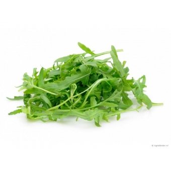 Sla Rucola. Doosje 125 Gram